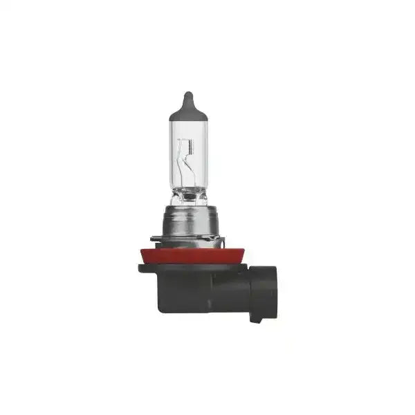 H11 Halogen Bulb 12V 55W PGJ19-2 - Low Beam Headlight & Fog Light Bulb - GT Motor Part